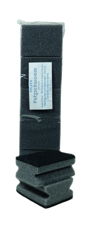 Putzschwamm abrasiv 10er Pack