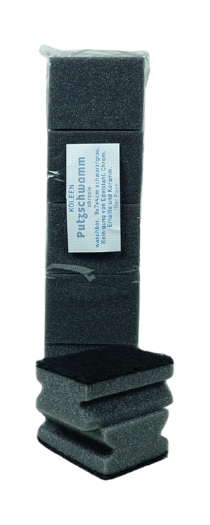 Putzschwamm abrasiv 10er Pack